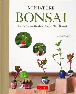 Miniature Bonsai