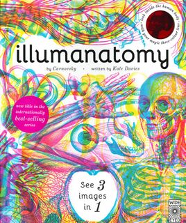 Illumanatomy