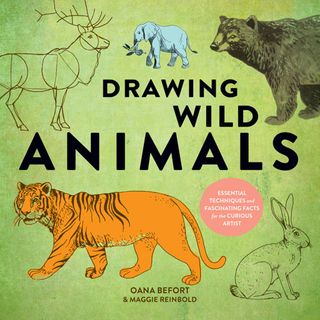 Drawing Wild Animals