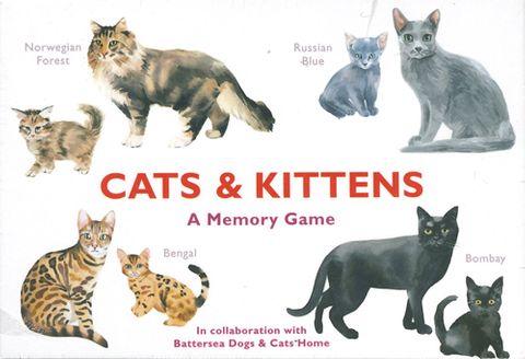 Cats & Kittens: A Memory Game