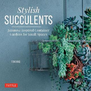 Stylish Succulents