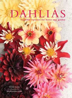 Dahlias