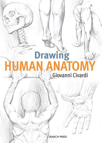 Drawing Human Anatomy