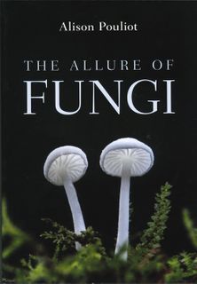 The Allure of Fungi