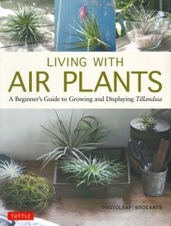 Living with Air Plants