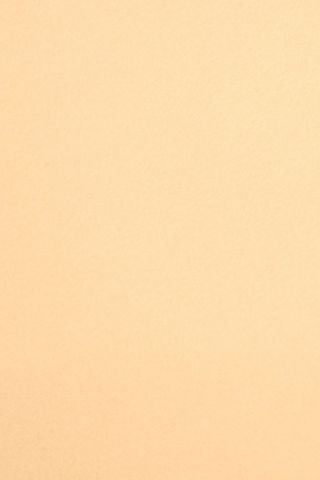 Pure Wool Felt - Cream