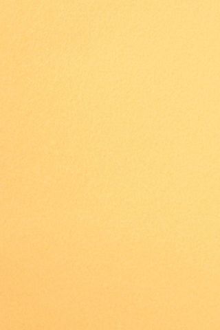 Pure Wool Felt - Pastel Yellow