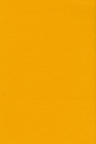 Pure Wool Felt - Corn Yellow