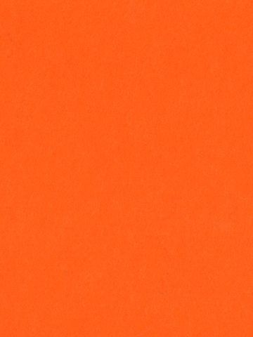 Pure Wool Felt - Light Orange