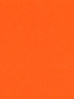 Pure Wool Felt - Light Orange