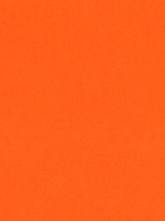 Pure Wool Felt - Light Orange
