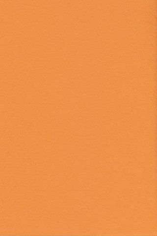 Pure Wool Felt - Apricot