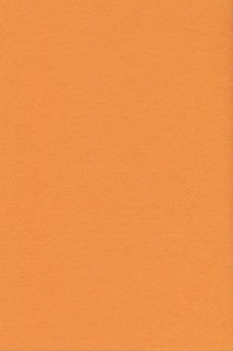 Pure Wool Felt - Apricot