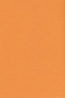 Pure Wool Felt - Apricot