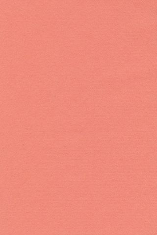 Pure Wool Felt - Salmon