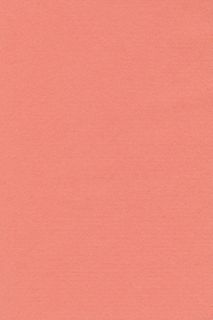 Pure Wool Felt - Salmon