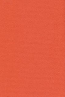 Pure Wool Felt - Peach