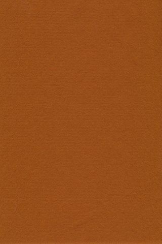 Pure Wool Felt - Rust