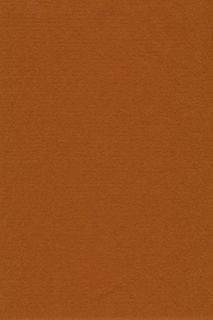 Pure Wool Felt - Rust