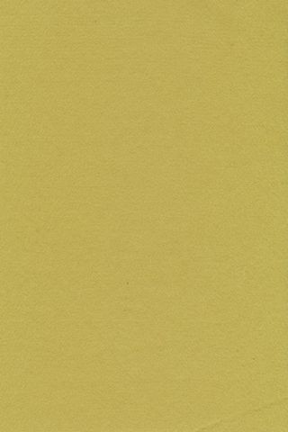 Pure Wool Felt - Celery Green