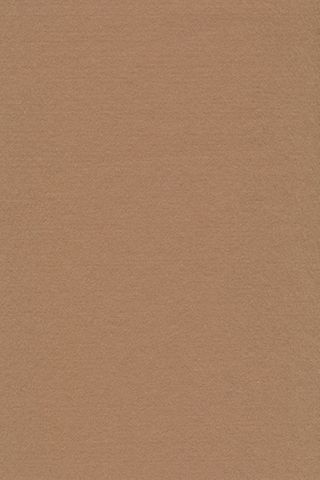 Pure Wool Felt - Beige