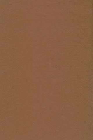 Pure Wool Felt - Beige Brown