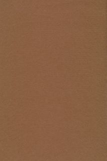 Pure Wool Felt - Beige Brown