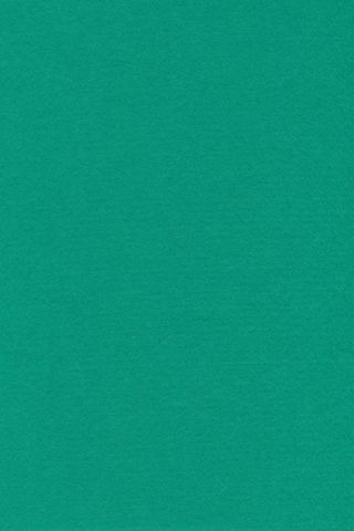 Pure Wool Felt - Sea Green