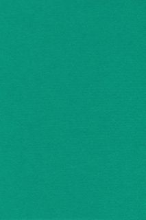 Pure Wool Felt - Sea Green