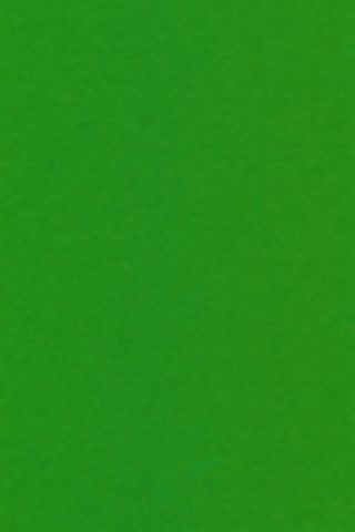 Pure Wool Felt - Grass Green