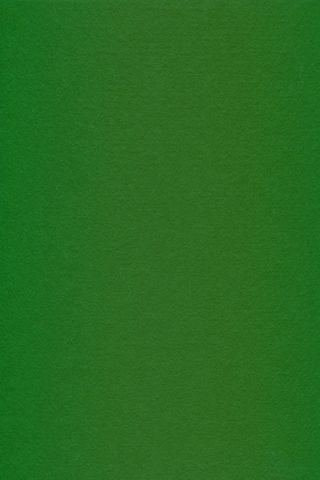 Pure Wool Felt - Green