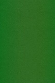 Pure Wool Felt - Green