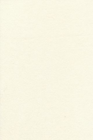 Pure Wool Felt - White