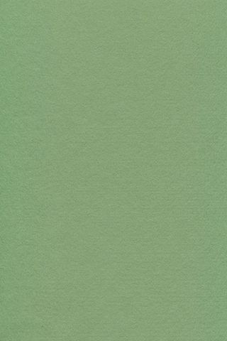 Pure Wool Felt - Soft Green