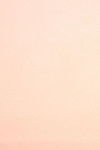 Pure Wool Felt - Pale Peach