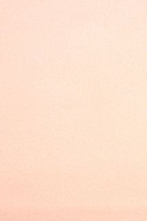 Pure Wool Felt - Pale Peach