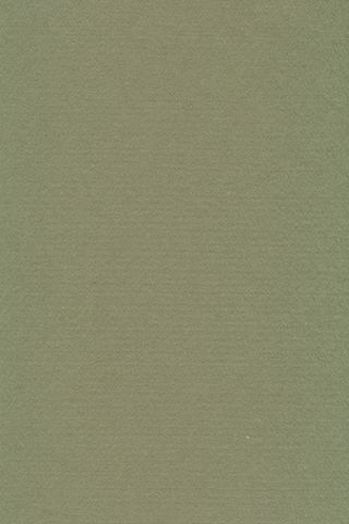 Pure Wool Felt - Reseda Green