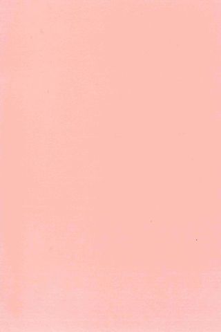 Pure Wool Felt - Pastel  Pink