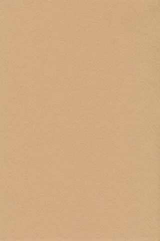 Pure Wool Felt - Light Camel