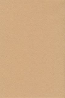 Pure Wool Felt - Light Camel