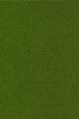 Pure Wool Felt - Frog Green