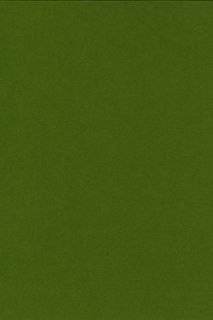 Pure Wool Felt - Frog Green