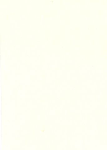 Pure Wool Felt - Ecru Natural Undyed