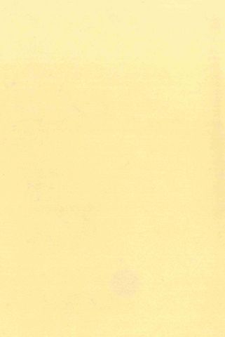 Pure Wool Felt - Baby Yellow