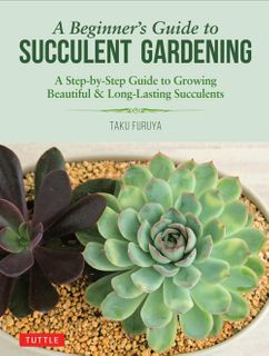 A Beginner's Guide to Succulent Gardening