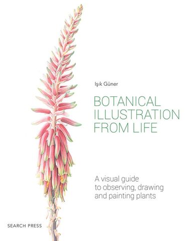 Botanical Illustration from Life