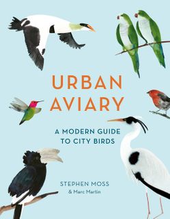 Urban Aviary