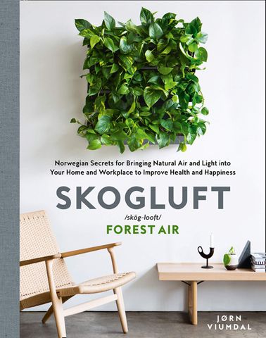 Skogluft: Forest Air