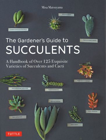 The Gardener's Guide to Succulents