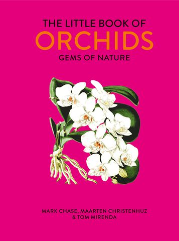 Little Book of Orchids